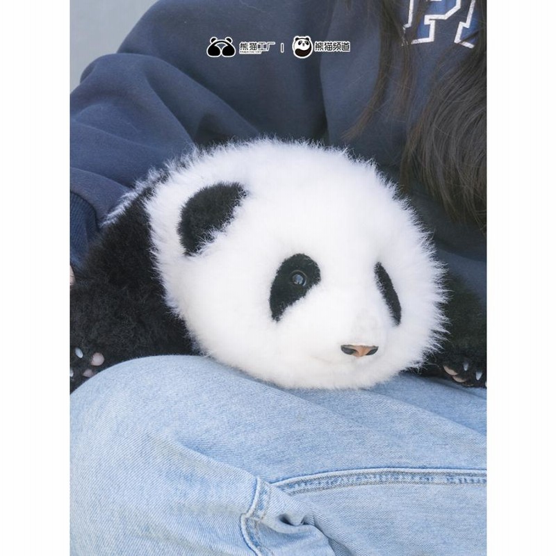 完売品パンダぬいぐるみ　四川和花ちゃん　1.5が月齡 51e0vBu-UwL._UF894,1000_QL80_.jpg