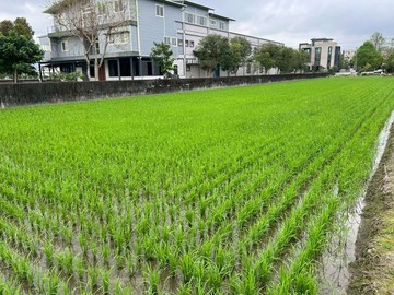 員山近宜蘭市區老農配建大面寬農地｜宜蘭縣員山鄉深惠段