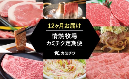 情熱牧場 鹿児島県産お肉の定期便 スタンダードコース（全12回）お肉 ステーキ すき焼き しゃぶしゃぶ A5等級 黒毛和牛 牛肉 豚肉 焼肉 定期便 冷凍