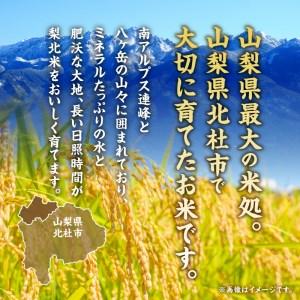 ふるさと納税 梨北米農林48号 5kg 山梨県北杜市