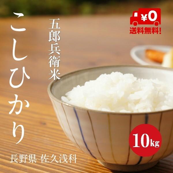 新米 令和５年産 長野県産 こしひかり 五郎兵衛米 1等米 白米 ５kg×２袋