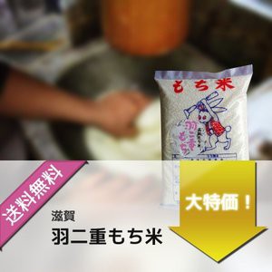 新米 お米 もち米 令和5年産 5kg (1ｋｇ×５袋) 滋賀県産 羽二重もち米 餅 お餅 おはぎ 赤飯 おこわ 送料無料