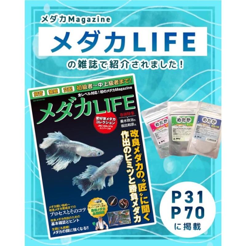 ＧＥＸ　メダカ元気　彩姫　成長用　４０ｇ　めだか　餌　フード　嗜好性・高成長