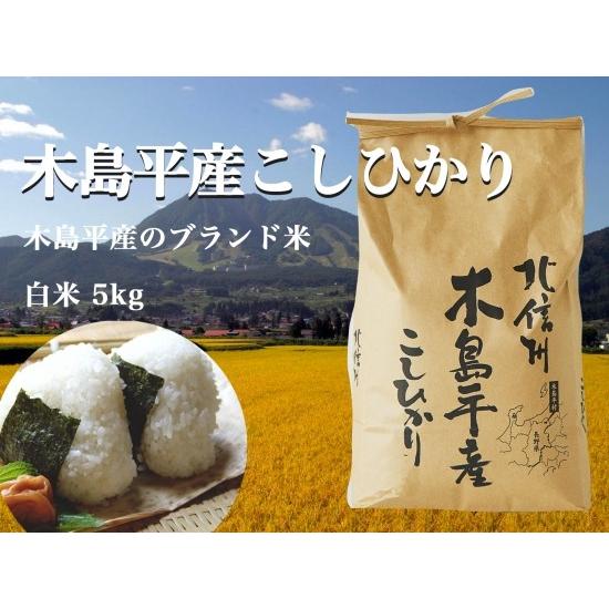 令和3年産 木島平産コシヒカリ2kg お米 こしひかり 送料無料 白米