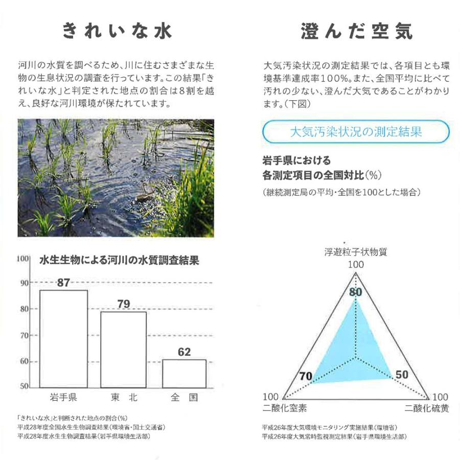 ヤマトライス 無洗米 岩手県産 ひとめぼれ 農薬節減米 5kg 令和4年産