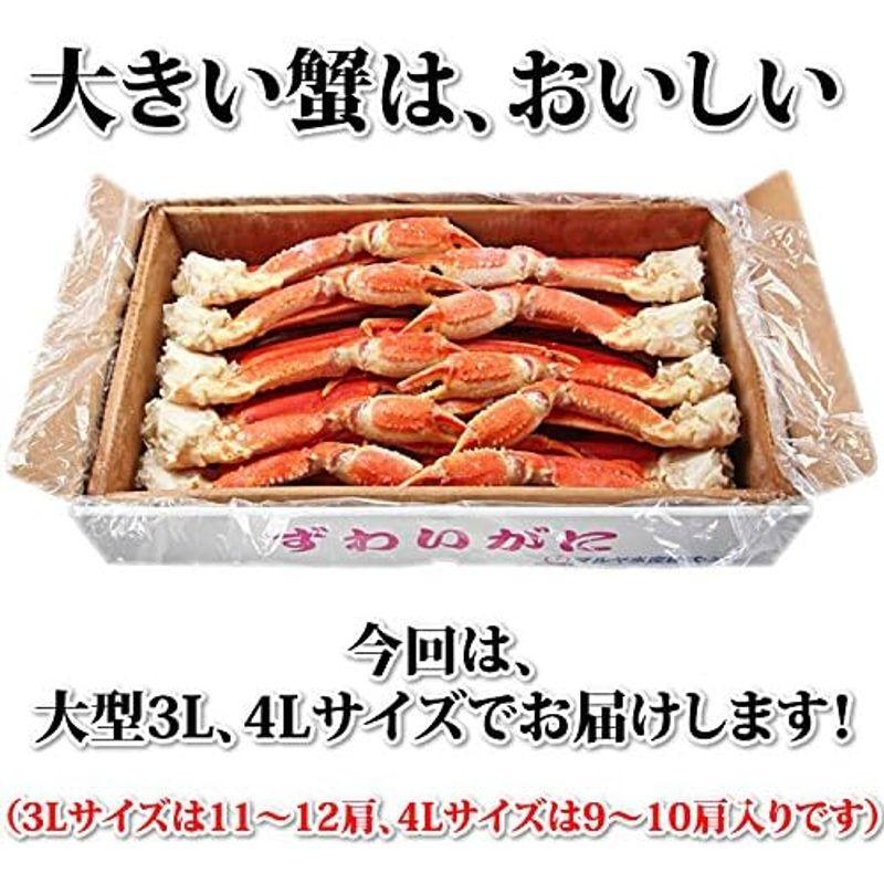 マルヤ水産 特大 ずわいがに 脚 3kg ズワイガニ 国内工場生産 ギフト お歳暮 カニ 蟹