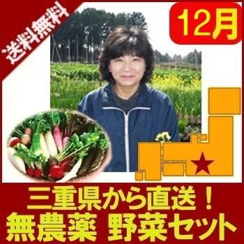 偶数月　8〜10品「無農薬野菜セット」  近藤ファーム