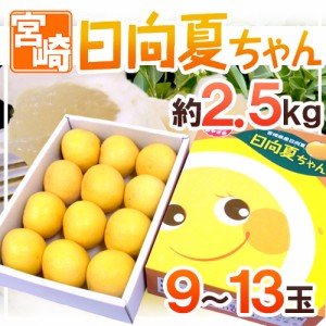 宮崎県産 ”日向夏” 9～13玉 約2.5kg 化粧箱 送料無料