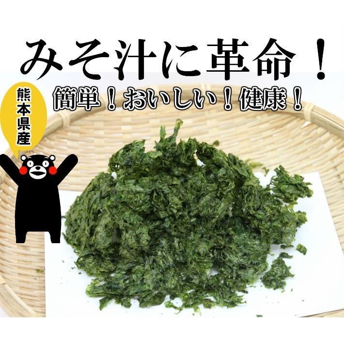 海苔　青さのり  あおさのり25ｇ×10袋　味噌汁革命あおさ海苔　まとめ買い　送料無料