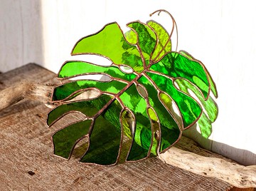 彩色玻璃龜背竹葉。 綠葉太陽捕手