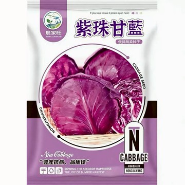 【原廠包裝】紫甘藍種子（Purple Cabbage）300粒裝 紫色高麗菜 羽衣甘藍親戚 沙拉生食專用 營養價值高