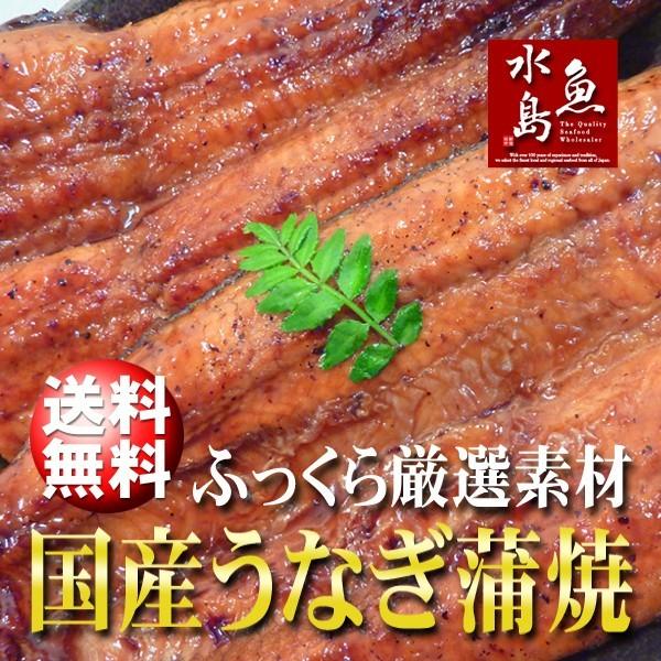 父の日ギフト 土用丑の日 国産 鰻うなぎ蒲焼き ふっくら厳選素材 約30cm超特大 約200g×4尾 送料無料