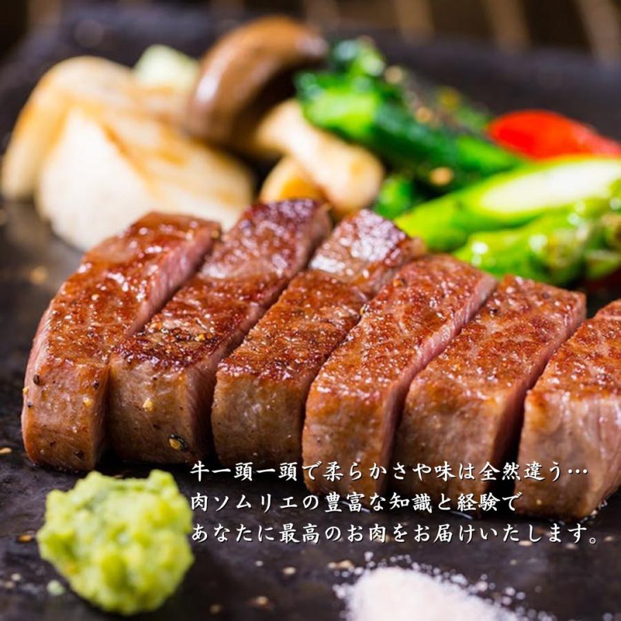 贈り物 国産 シャトーブリアン ヒレステーキ 各100g×3 低温熟成 焼肉 赤身 フィレ 肉 セット 祝 ギフト 贈答用