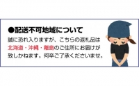 奇数月にお届け♪野菜＆フルーツのよくばり定期便！キウイ・清見オレンジ・トマト・桃・ピオーネ・柿