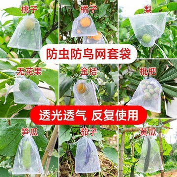 桃園出貨✨水果套袋防鳥網紗袋瓜果防蟲專用袋無花果枇杷葡萄桃子草莓保護袋
