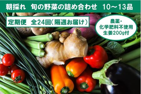 『隔週お届け』旬の野菜の詰め合わせと農薬不使用の生姜200g付き