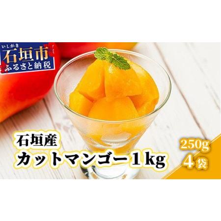 ふるさと納税 YK-6 石垣産カットマンゴー１ｋｇ（２５０ｇ×４袋） 沖縄県石垣市