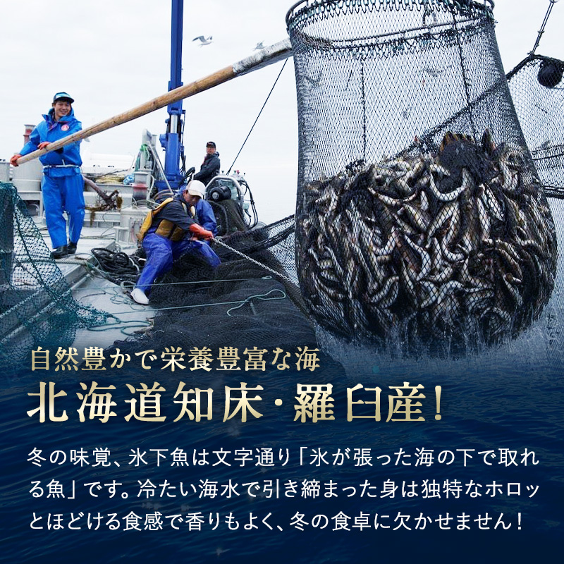 コマイ 丸干し 北海道 知床・羅臼産 3尾 総重量250g前後 こまい 氷下魚 かんかい 魚 干物 珍味