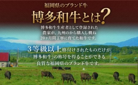 博多和牛＋九州産黒毛和牛 切り落とし 合計1.8kg