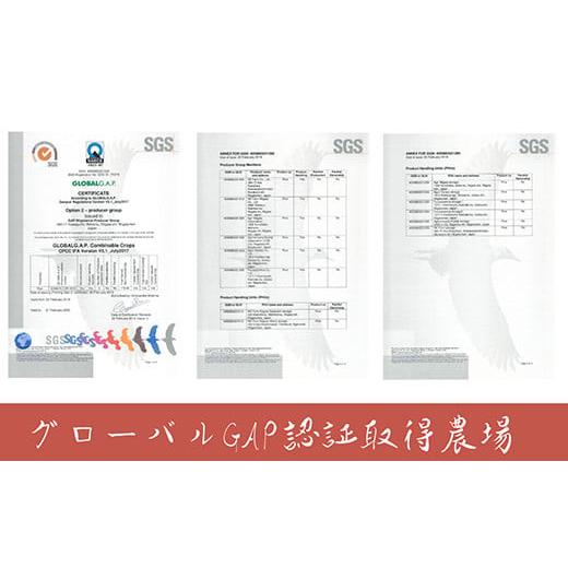 ふるさと納税 新潟県 長岡市 J8-5S05Z新潟県長岡産 新之助 5kg