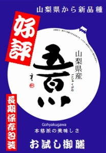 新ブランド米 山梨県産　五百川　900gパック 長期保存包装済み