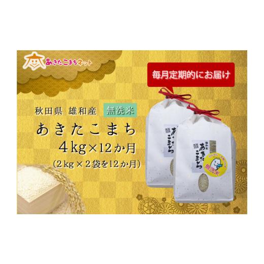 ふるさと納税 秋田県 秋田市 秋田市雄和産あきたこまち清流米（無洗米）・1年間（4kg×12か月）