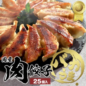 餃子 ぎょうざ ギョウザ ギョーザgyouza 25個 肉餃子 国産 国産豚肉 国産野菜 豚肉 中華 食品 冷凍 冷凍餃子 美味しい おいしい ニンニク