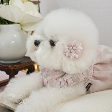 ✈️快速出貨【梨花娘總代理】🐾BAILEY 🐶甜美韓服公主花漾珍珠寵物髮夾(2色)