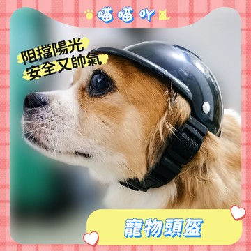 狗狗安全帽 貓咪安全帽 寵物機車帽 寵物頭盔 寵物狗狗機車 泰迪金毛柯基邊牧小狗中大型 可露出耳朵安全帽 機車帽
