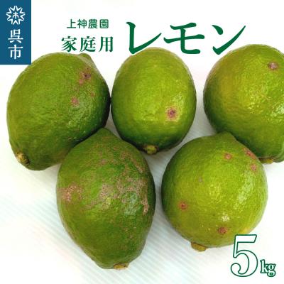 ふるさと納税 呉市 家庭用 広島産 レモン 約5kg