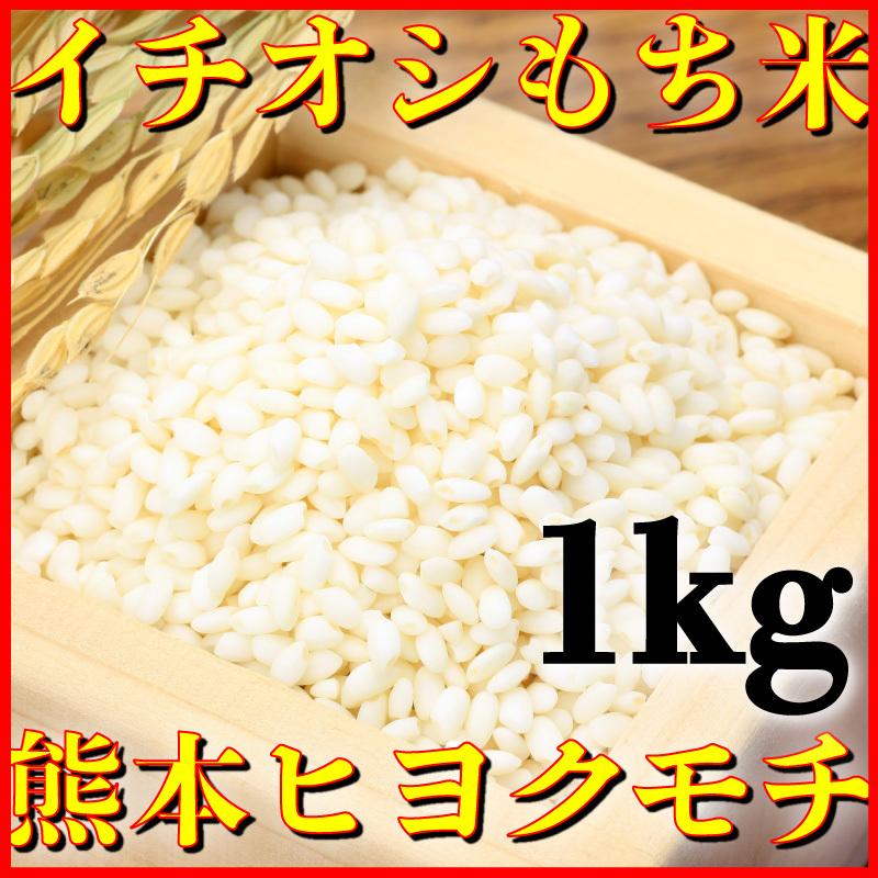 お米 米 1kg もち白米 熊本県産 ヒヨクモチ あすつく 新米 令和5年産 くまもとのお米 富田商店 とみた商店