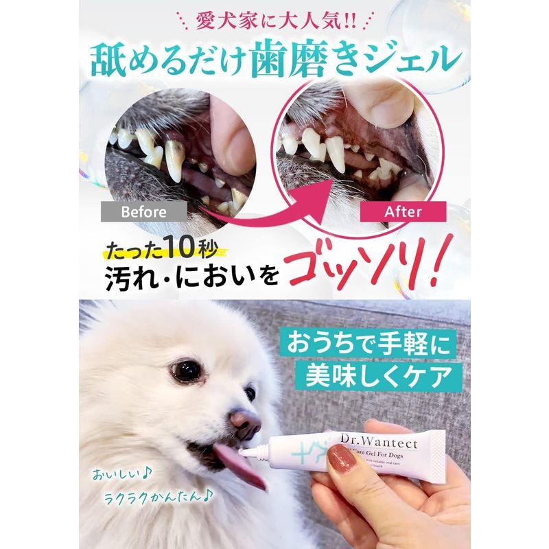 PETLINKMORE 犬 猫 歯磨き はみがき ジェル 歯ブラシ 30g - その他