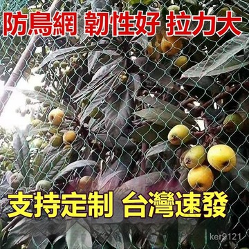 台灣發貨 果樹專用防鳥網罩 防蟲網罩 櫻桃網 家庭防鳥網 果園尼龍網 防護罩 蔬菜網 耐高溫 果樹果園防護塑膠網大棚專用