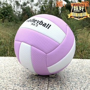 【店長推薦】排球防滑加厚pvc機縫排球5號中考比賽專用球軟式氣排球沙灘球