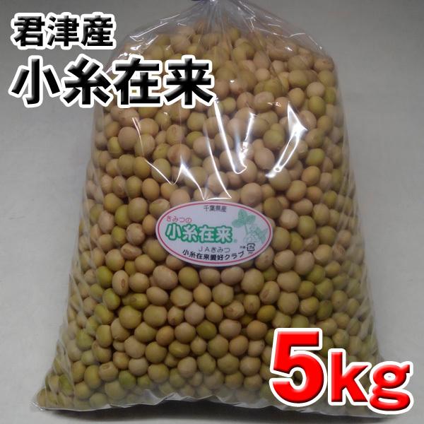 小糸在来(R)大豆5kg（大粒）千葉県君津市産 送料無料（北海道・九州・沖縄は除く）