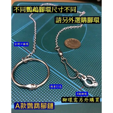 不銹鋼鸚鵡腳鍊 和尚鸚鵡腳鍊 鸚鵡不鏽鋼腳鍊 鸚鵡站架腳鍊 鸚鵡腳環 玄鳳鸚鵡腳鍊 灰鸚鵡腳鍊 活動開口腳環【現貨】