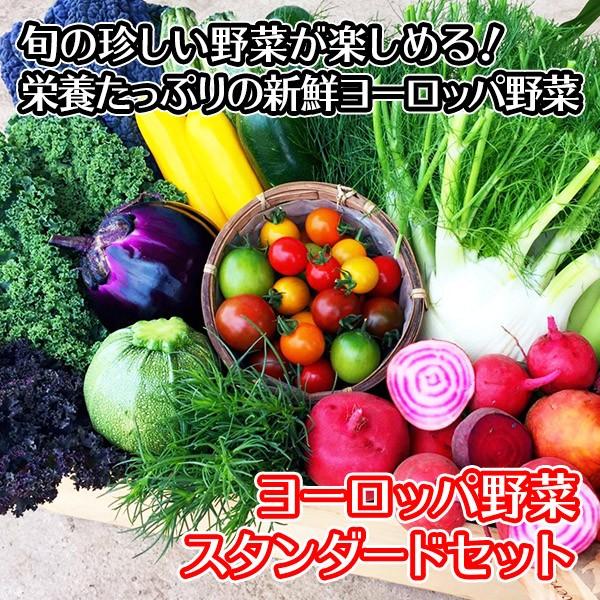 新鮮野菜 詰め合わせ 珍しい野菜 スタンダード ヨーロッパ野菜 セット お取り寄せグルメ ギフト プレゼント 食べ物