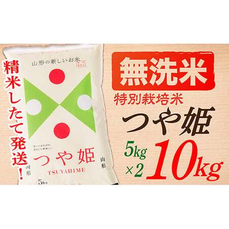 ふるさと納税 山形県産つや姫10kg(5kg×2袋) 山形県最上町