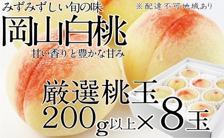 桃 2024年 先行予約 岡山の白桃 200g以上×8玉 白桃 旬 みずみずしい 晴れの国 おかやま 岡山県産 フルーツ王国 果物王国