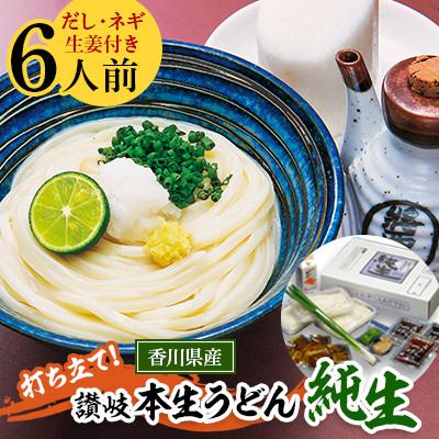 ふるさと納税 東かがわ市 打ち立て!讃岐本生うどん「純生」6人前(だし・ネギ・生姜付)