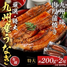 うなぎ蒲焼き 約200g×2尾(田川市)