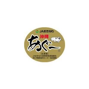 あぐーキーマカレー220ｇあさひ 沖縄県産あぐー豚100%使用 沖縄ブランド豚の贅沢なカレー (6箱)