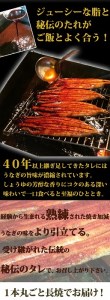 大型サイズ　ふっくら柔らか国産うなぎ蒲焼き　3尾