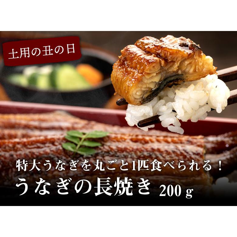 うなぎ 鰻 蒲焼 特大 200g 1尾 たれ付き 冷凍 土用 丑の日   2023 プレゼント ギフト 贈り物