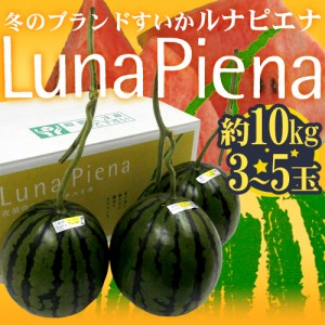 高知県夜須町 温室スイカ ”ルナピエナ” 3～5玉 約10kg 送料無料