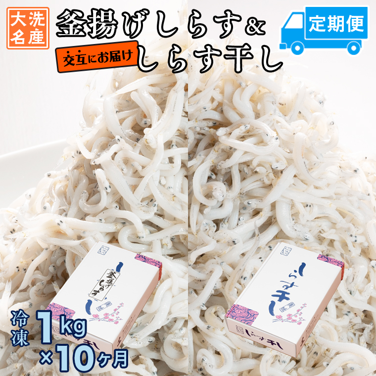 釜揚げしらす しらす干し 交互 定期便 (1kg×10か月) 天然 ふっくら 大洗 名産 しらす シラス 魚 さかな 魚介 離乳食