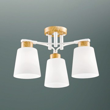E27時尚風半吸頂三燈 C03-13-63076
