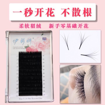 山茶花自動一秒開花嫁接睫毛太陽花漫畫款慵懶風柔軟貂毛美睫睫毛