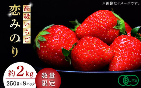 高級 いちご 恋みのり 約2000g（250g×8pc）  苺 いちご ストロベリー イチゴ 特産品 オーガニック 有機 有機栽培 恋みのり [ZBB007]