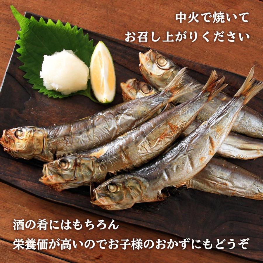 送料無料 [海幸] いわし 真いわし丸干し 6尾×3パックセット 真いわし 干物 鰯 栄養 脂 食卓 一品 おかず